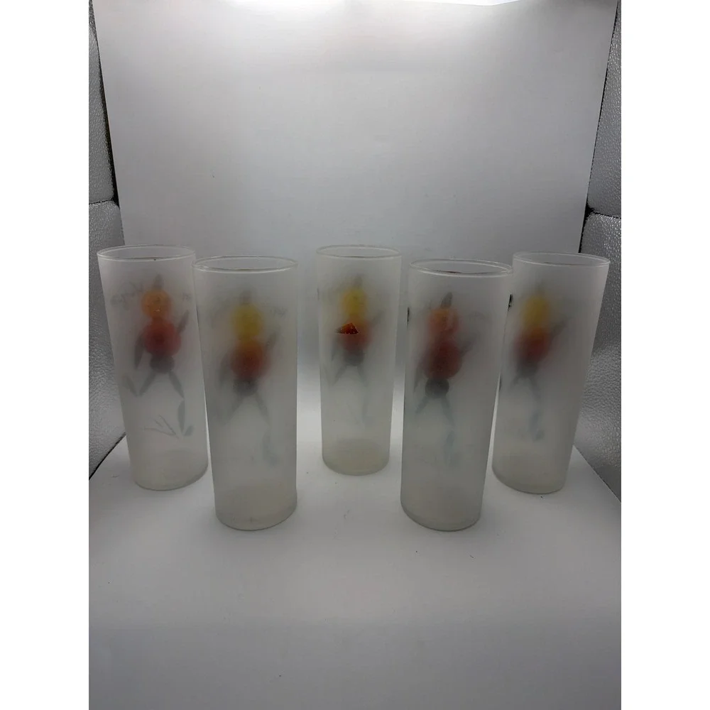 Vintage Frosted Glass Tumblers Hey Wait for Me Mid Century Modern Set of 5